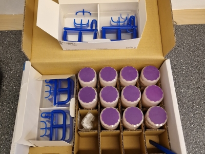 Ivobase
