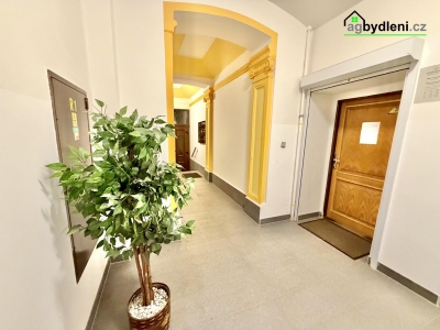 zubní ordinace Plzeň