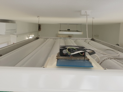 Světla Cacan 160x95 cm