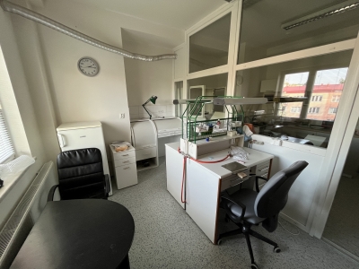 Přenechám zubní ordinace Mariánské Lázně